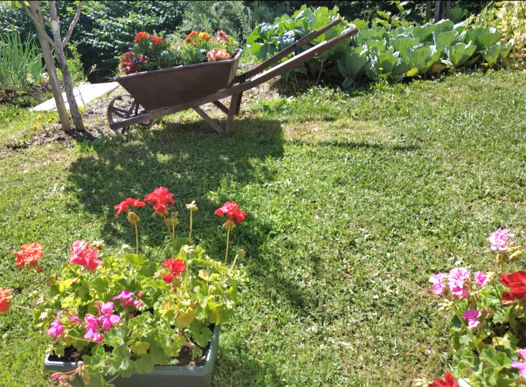 Etno Smjestaj Bjelasica Kolasin Ngoại thất bức ảnh